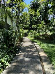 Clementi Park (D21), Condominium #484516881